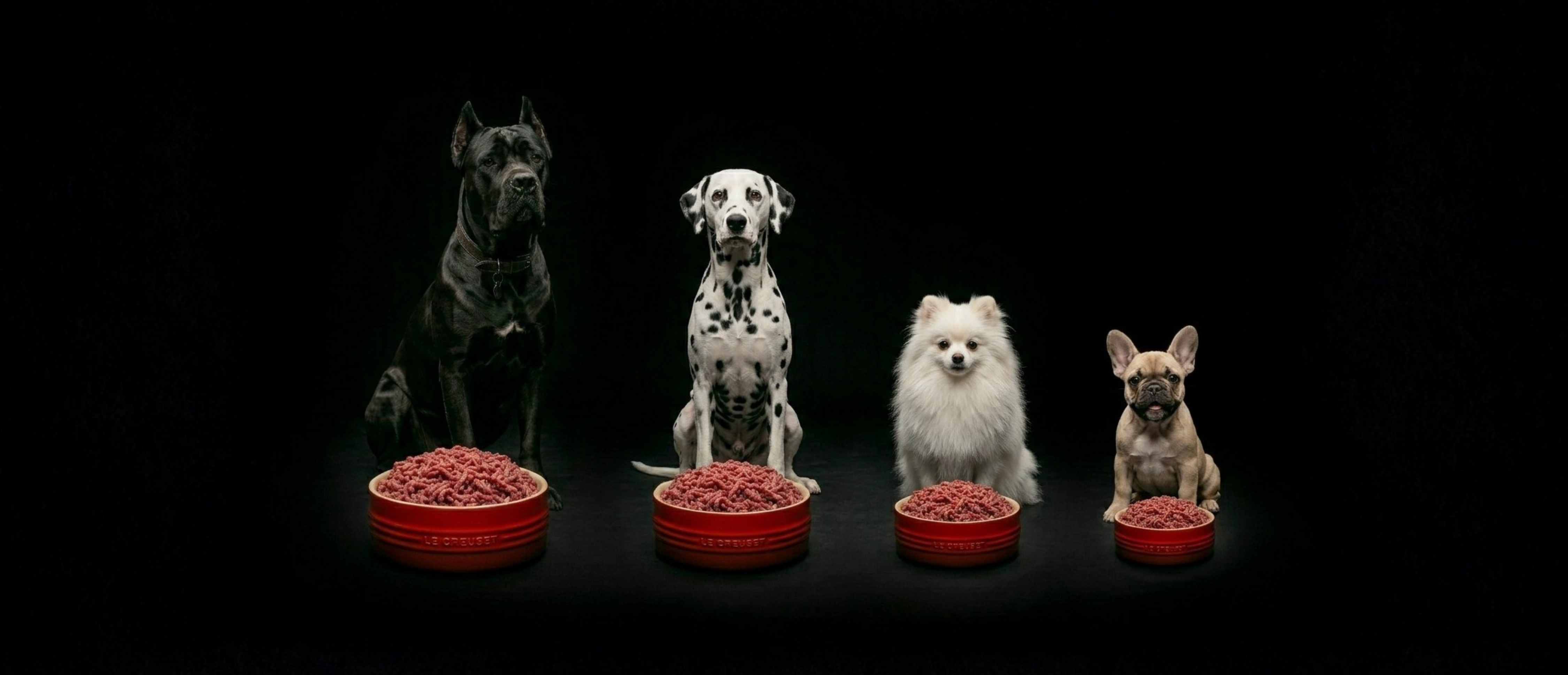 LIfe Stage Feeding Guides