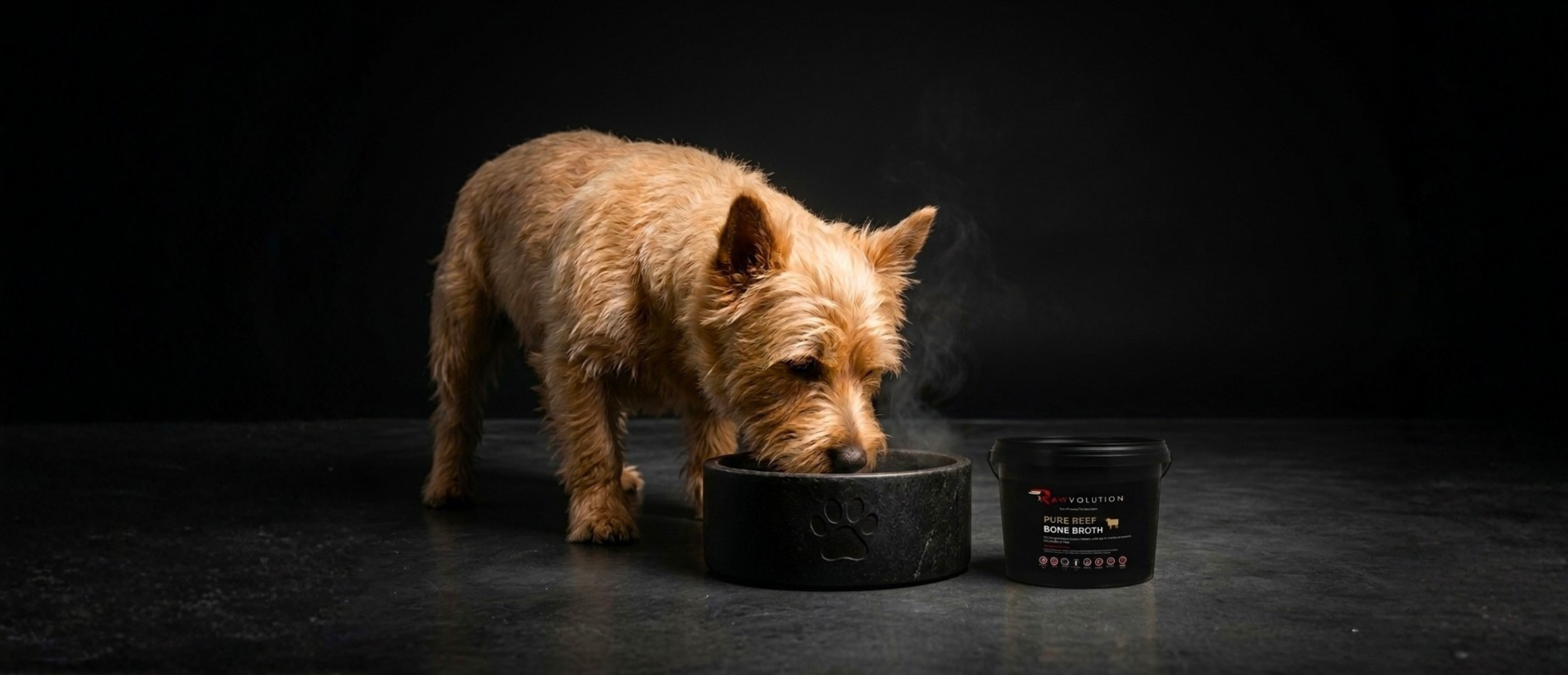 Bone Broth for Dogs & Cats: Supporting Gut Health Naturally