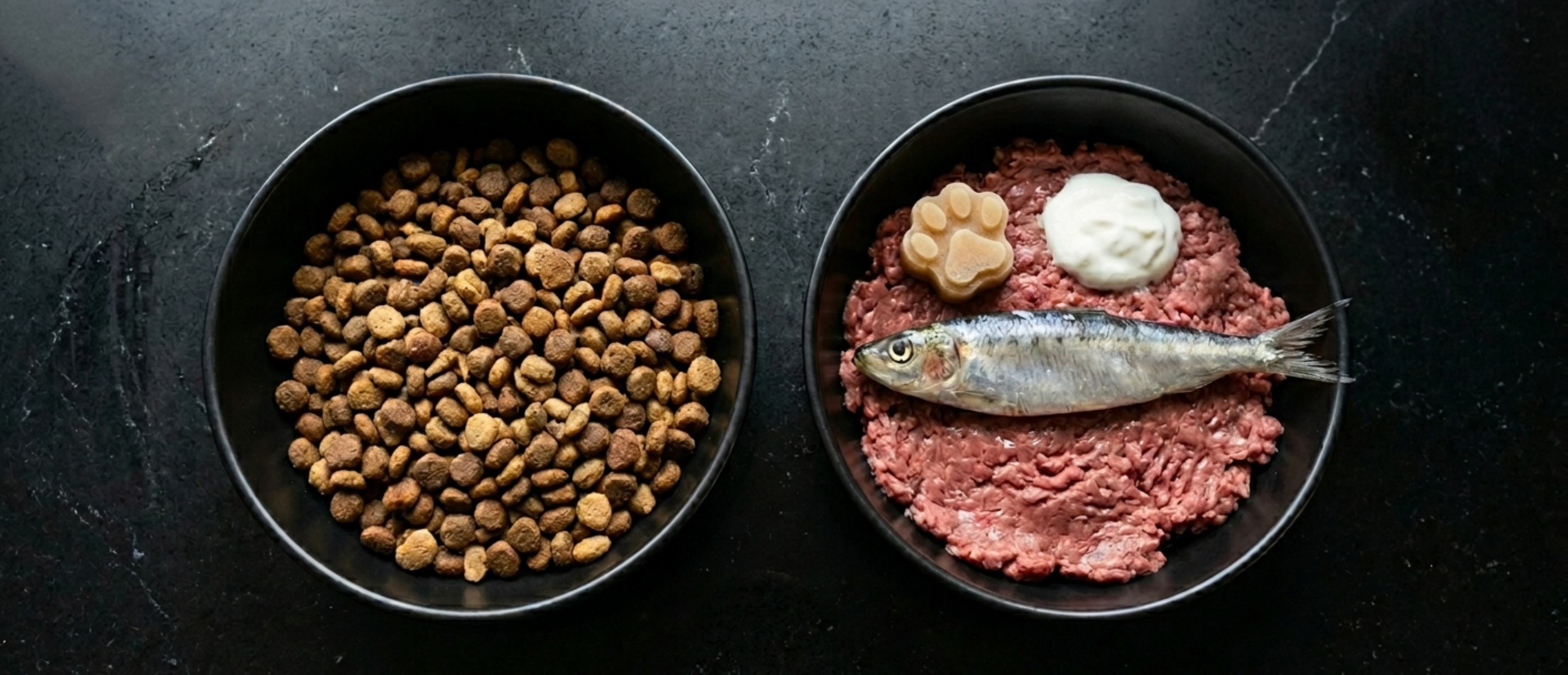 Raw Feeding vs Kibble: Why We Recommend Raw