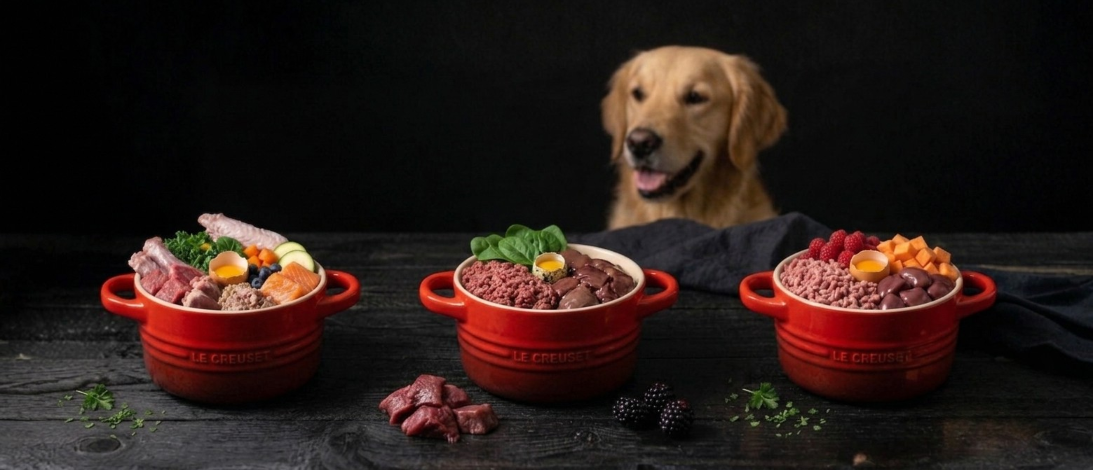 Why Protein Rotation Matters (And How to Do It Correctly)