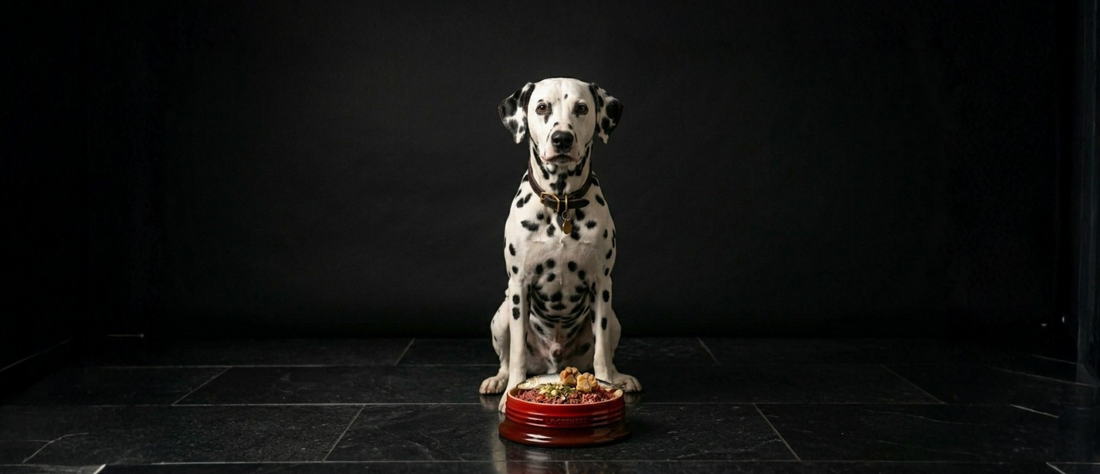 The Halal Advantage: Why Ethical Slaughter Means a Healthier Bowl