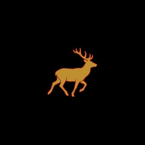 Venison