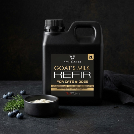 Goat Milk Kefir