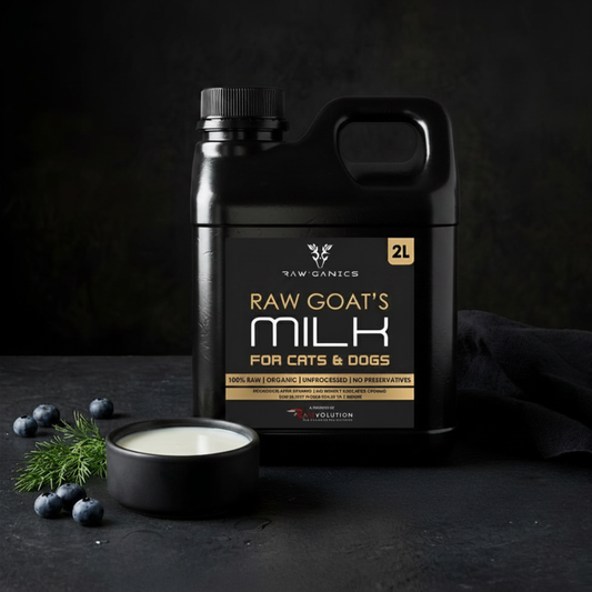 Raw Goat Milk
